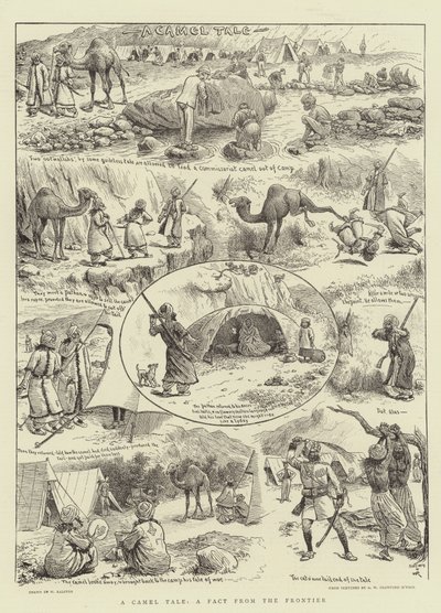 A Camel Tale, A Fact from the Frontier by William Ralston